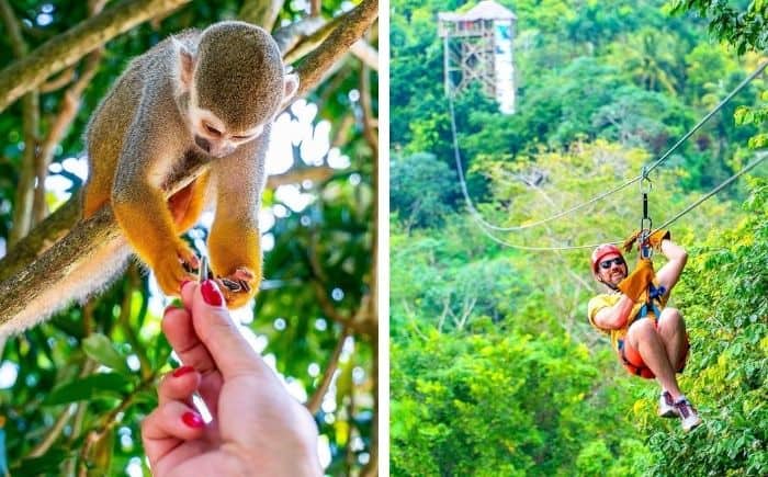 Monkeyland-and-Zip-Line-tour-from-Punta-Cana